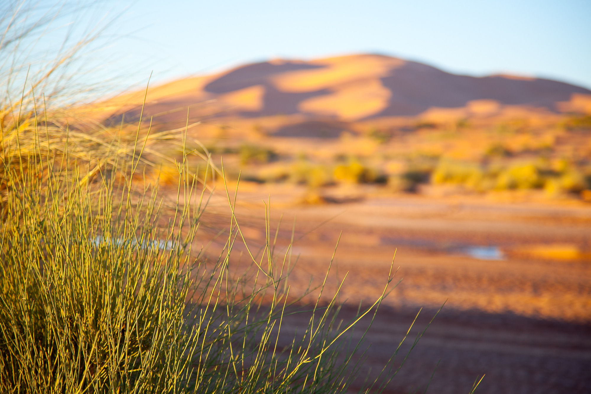 Kam Kam Dunes Merzouga Bagian luar foto