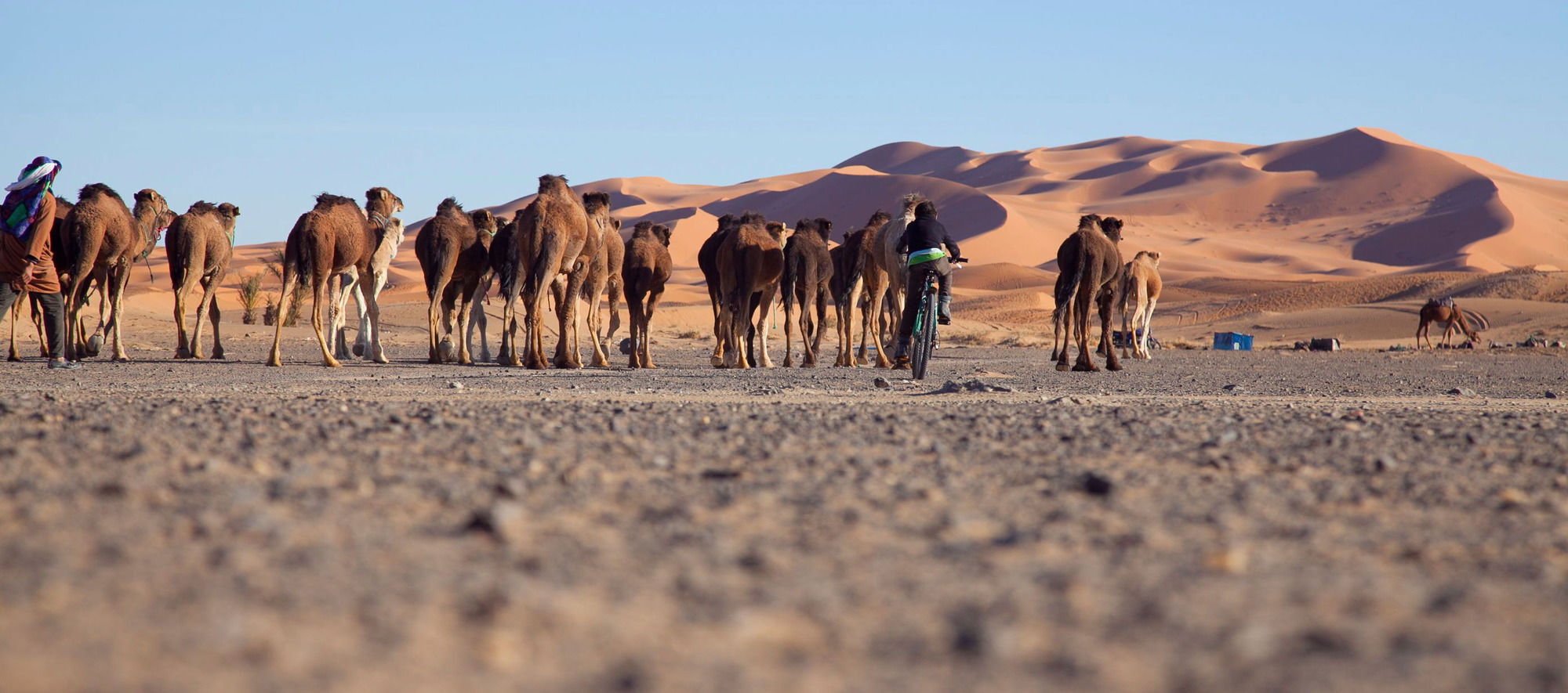 Kam Kam Dunes Merzouga Bagian luar foto